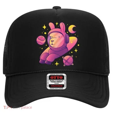 Llama Astronaut Hat