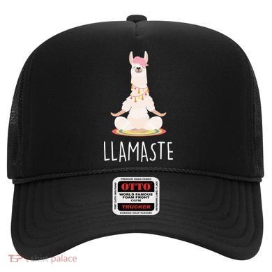 Llamaste Funny Lama Hat