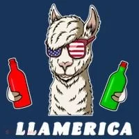 Llamerica Funny USA Toddler Hoodie thumb 2