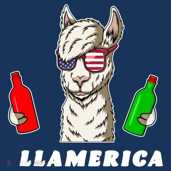 Llamerica Funny USA Toddler Hoodie