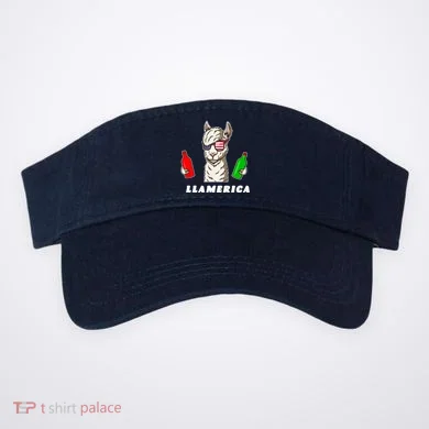 Visor