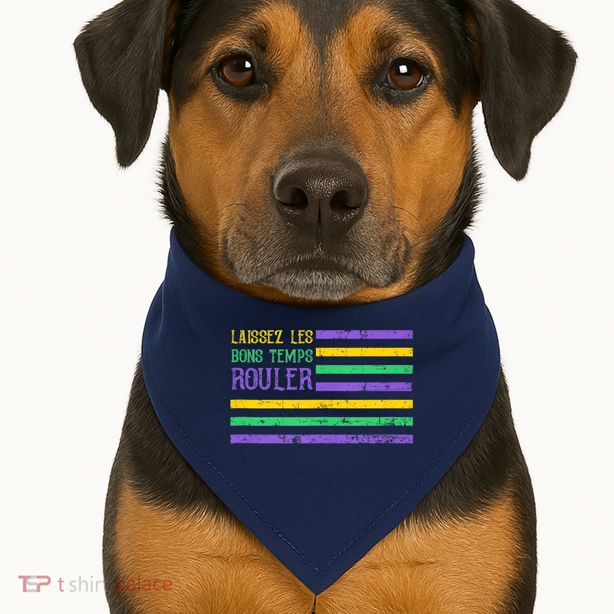 Laissez Les Bons Temps Rouler American Flag Mardi Gras USA-Made Doggie Bandana