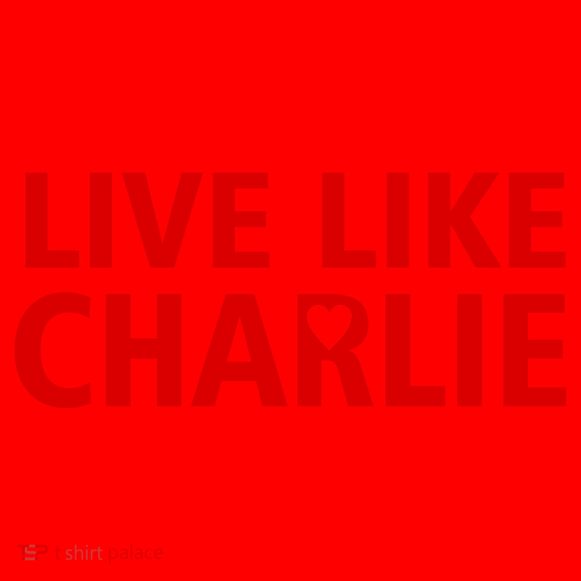 Live Like Charlie Kirk Love Support Santa Hat