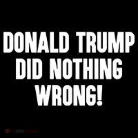 Laura Loomer Donald Trump Did Nothing Wrong Long Sleeve Shirt thumb 2