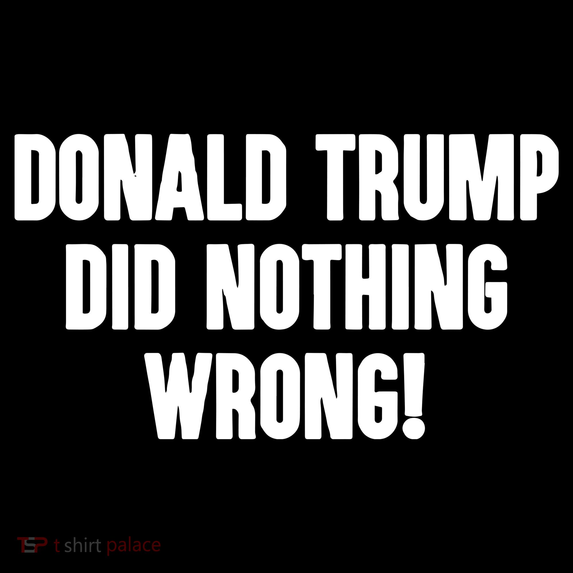 Laura Loomer Donald Trump Did Nothing Wrong Sweatshirt