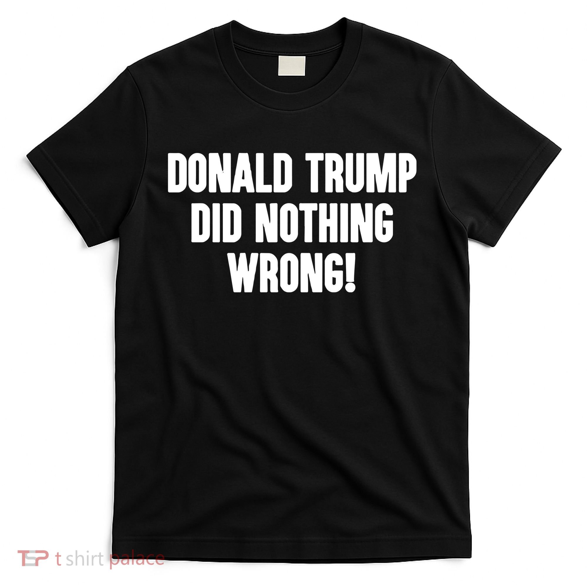 Laura Loomer Donald Trump Did Nothing Wrong T-Shirt
