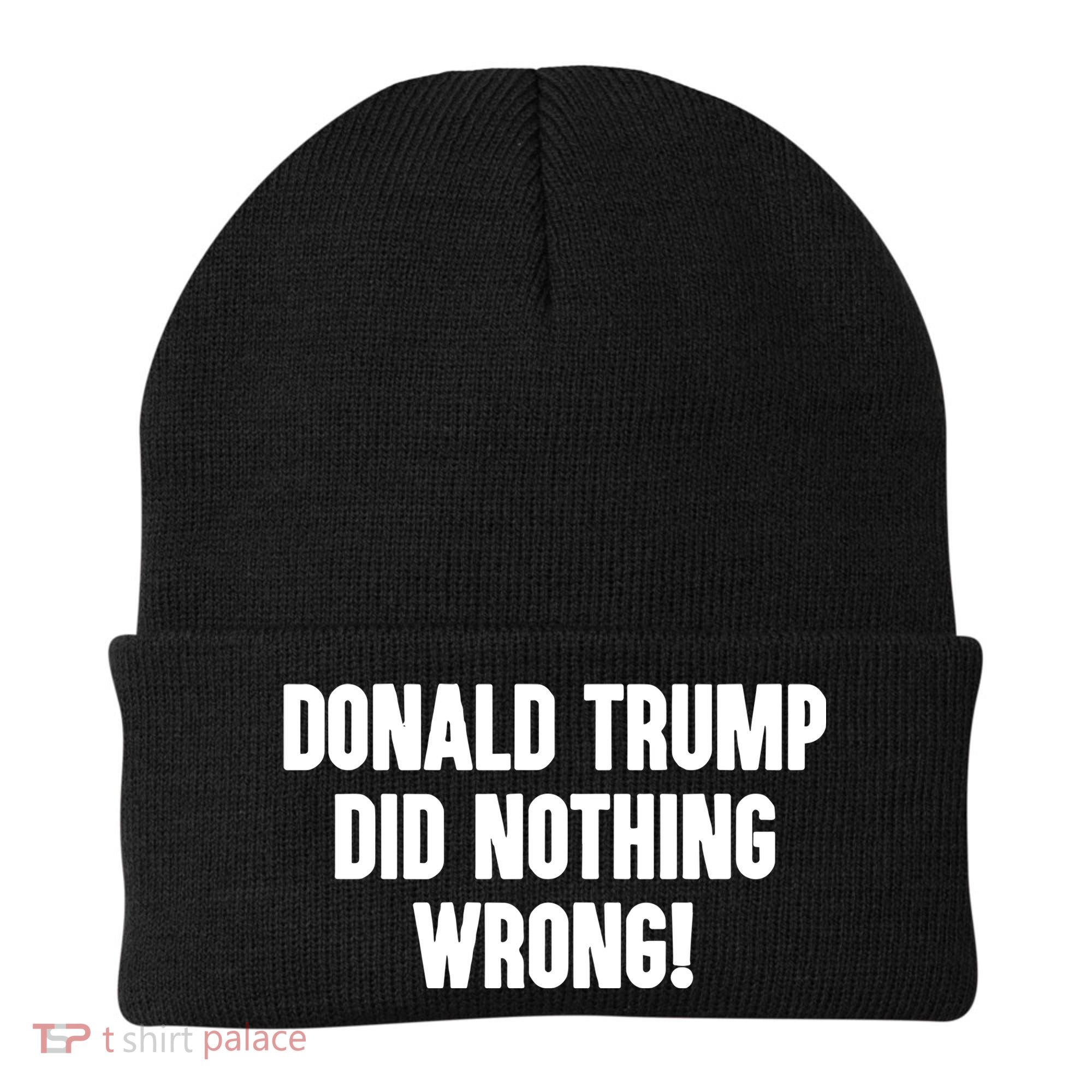 Laura Loomer Donald Trump Did Nothing Wrong Beanie