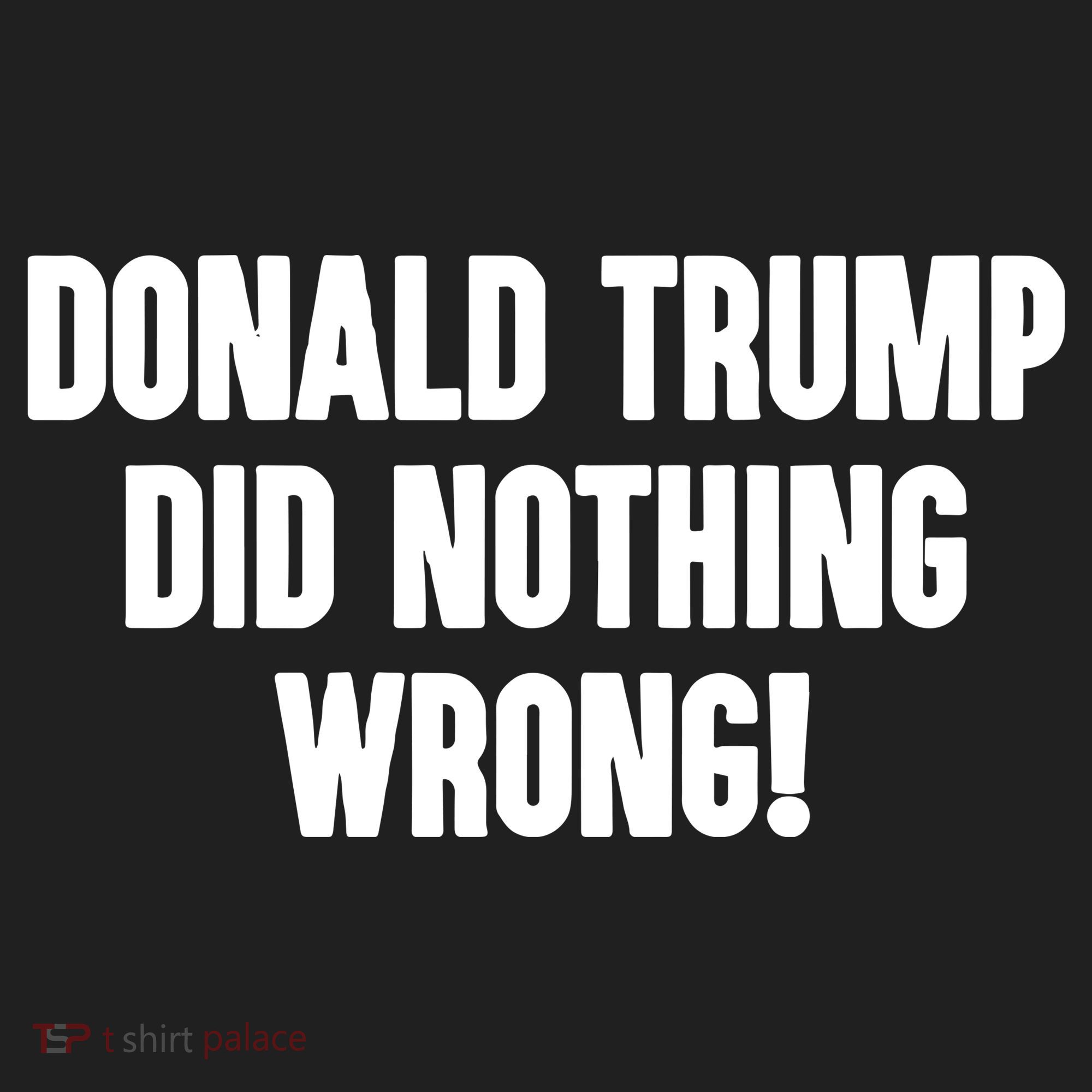 Laura Loomer Donald Trump Did Nothing Wrong Beanie
