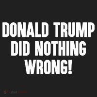Laura Loomer Donald Trump Did Nothing Wrong Tumbler thumb 3