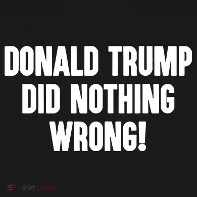 Laura Loomer Donald Trump Did Nothing Wrong Full Zip Hoodie