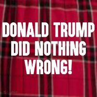Laura Loomer Donald Trump Did Nothing Wrong Men's Flannel Plaid Pajama Pants thumb 2