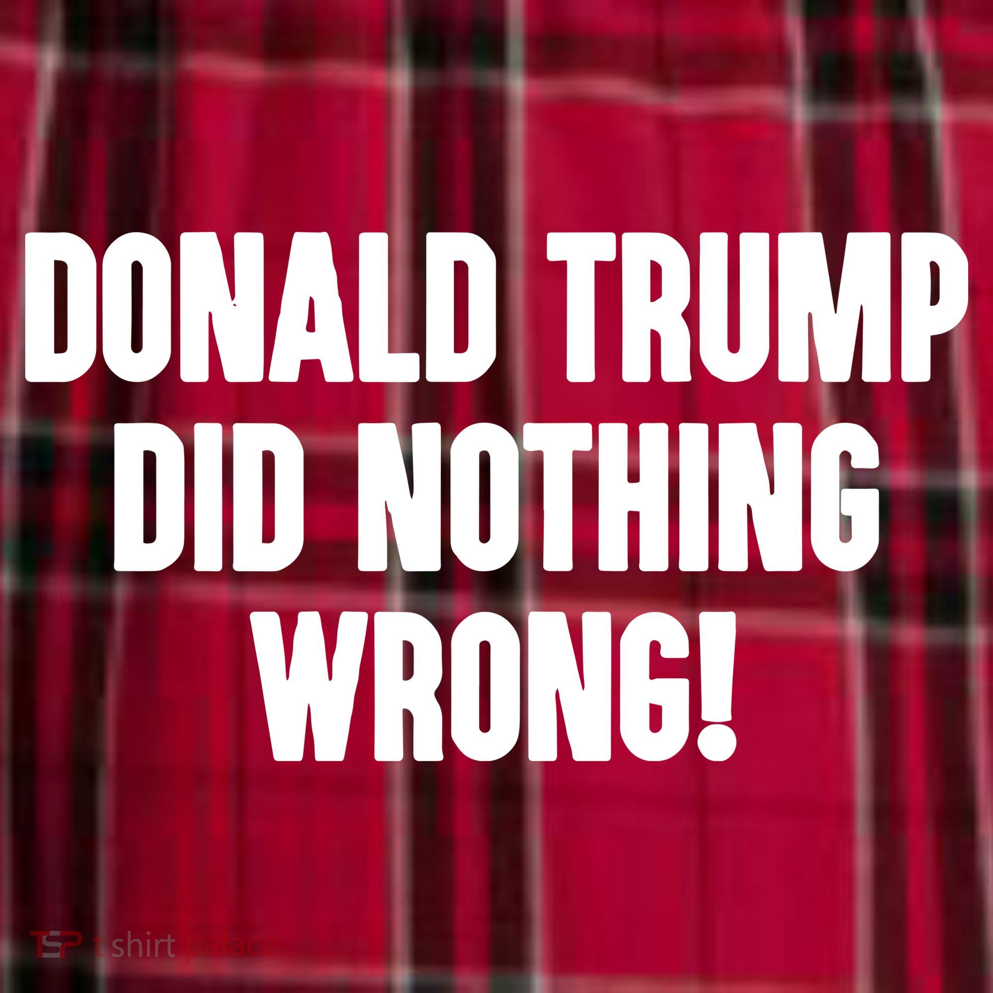 Laura Loomer Donald Trump Did Nothing Wrong Men's Flannel Plaid Pajama Pants