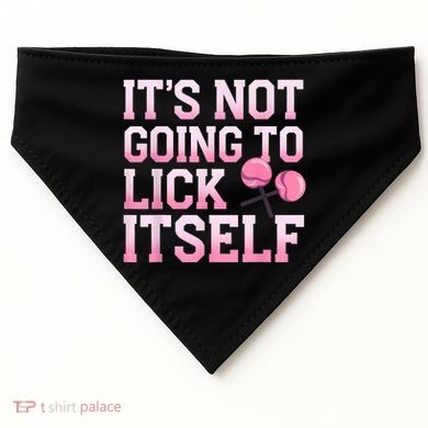 Lollipop Lick It Not Going To Lick Itself Candy Sweet USA-Made Doggie Bandana