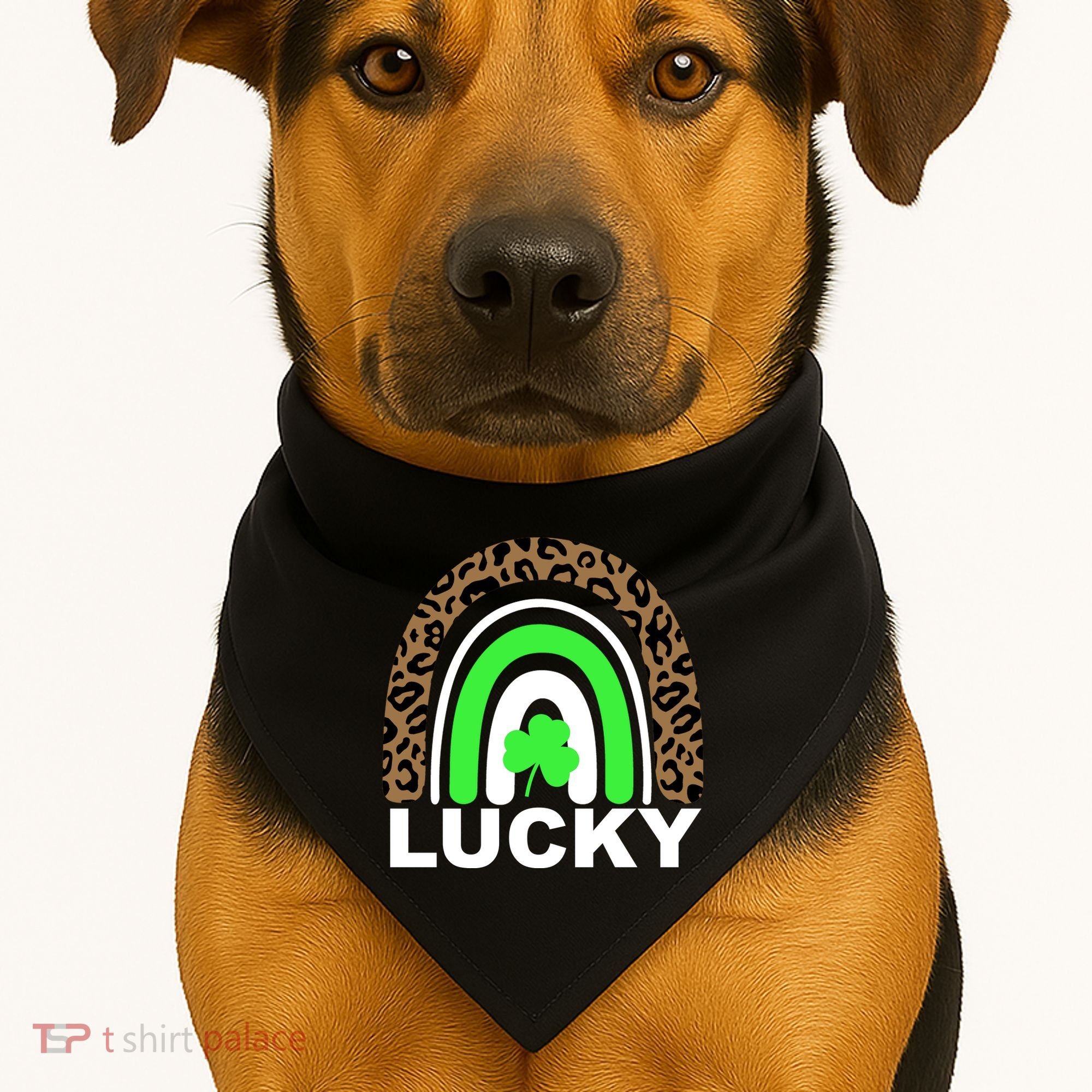 Lucky Leopard Rainbow USA-Made Doggie Bandana