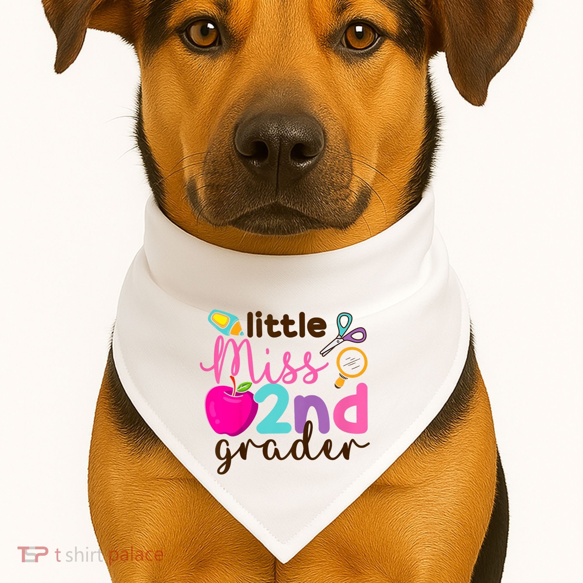 Little Miss 2nd Grade First Day Of Second Grade Cute USA-Made Doggie Bandana