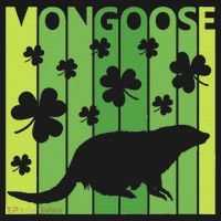 Lucky Mongoose Animal St Patrick's Day Irish Gift Women's T-Shirt thumb 6
