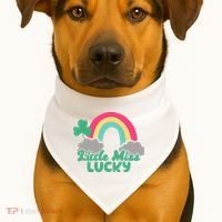 Little Miss Lucky Rainbow St Patrick's Day USA-Made Doggie Bandana thumb 1