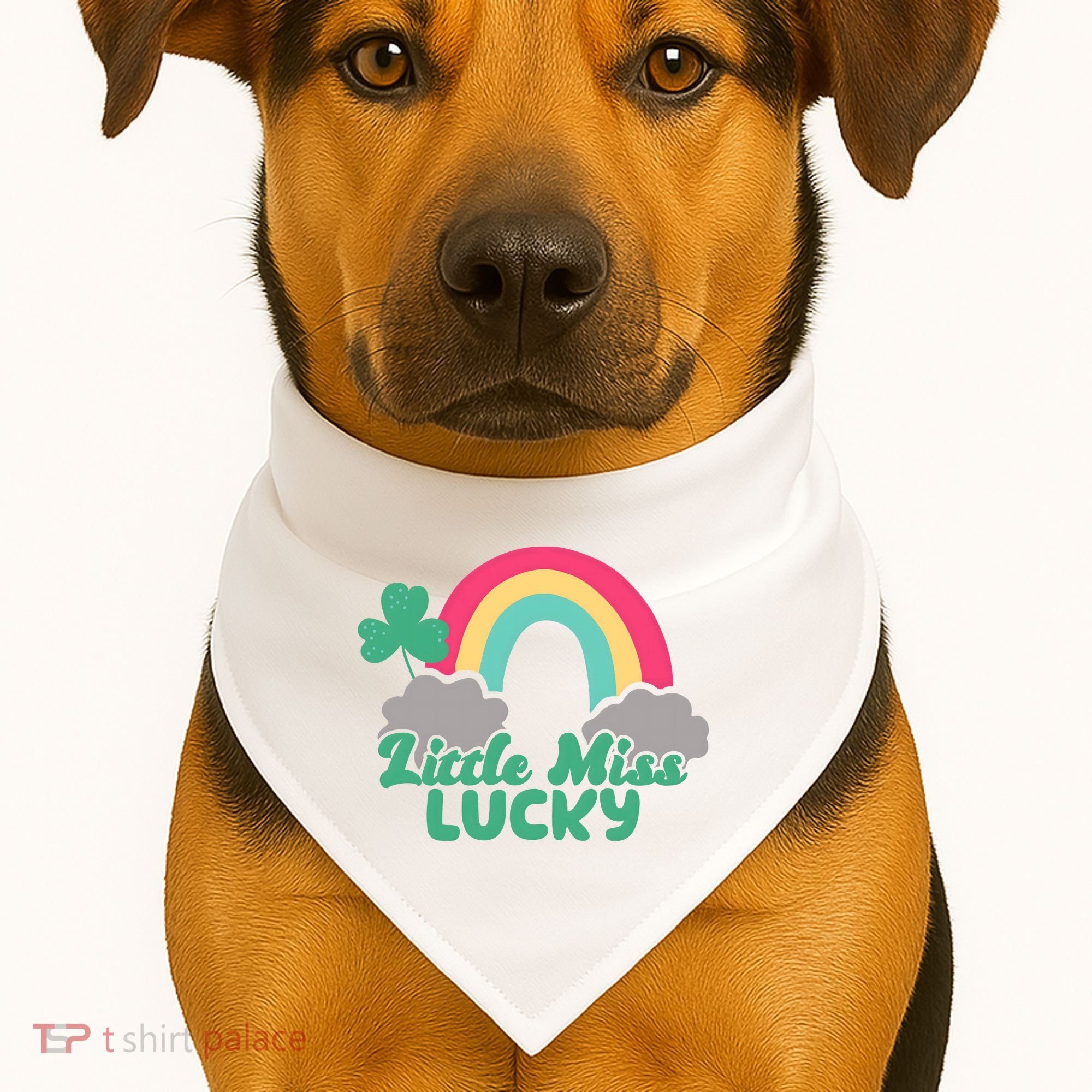 Little Miss Lucky Rainbow St Patrick's Day USA-Made Doggie Bandana