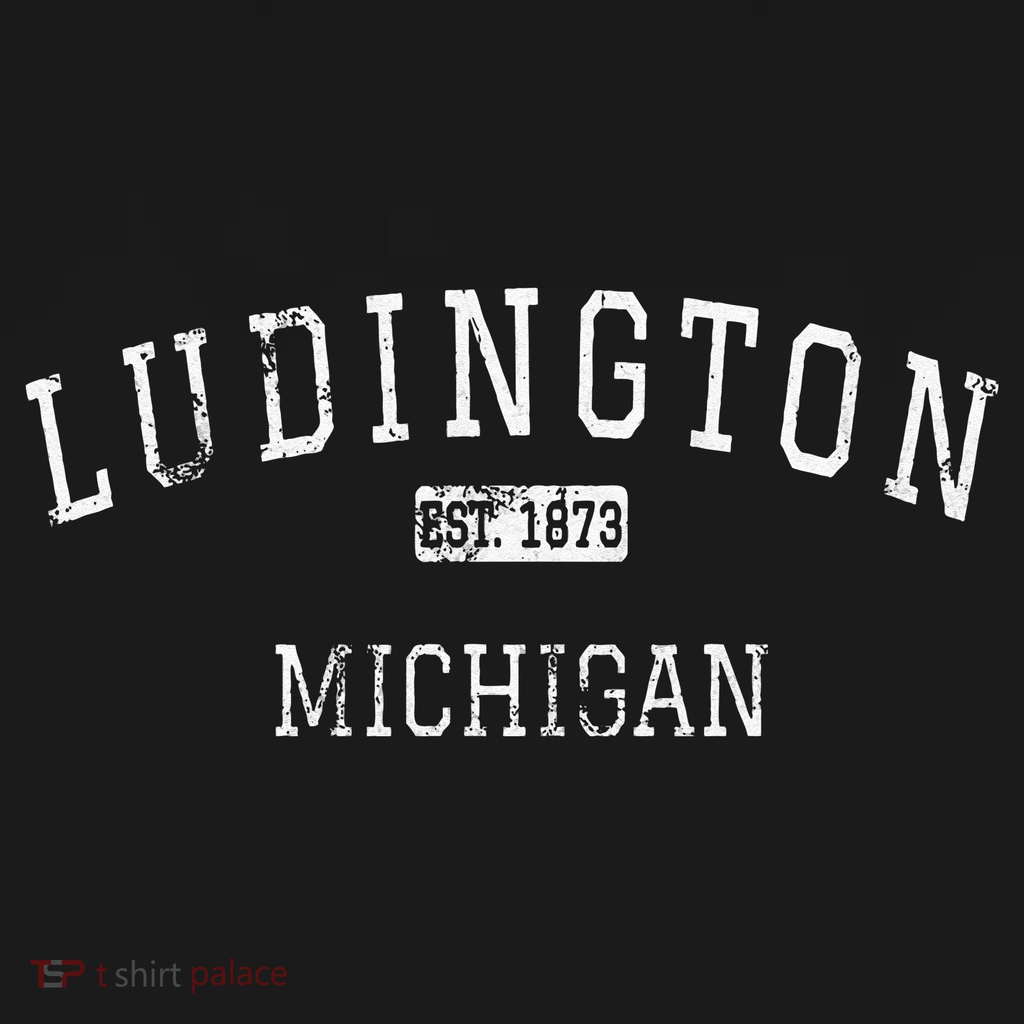 Ludington Michigan MI Vintage T-Shirt