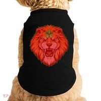 Lion Moroccan Soccer Supporter Morocco Flag Soccer Lover Gift Doggie Tank thumb 0