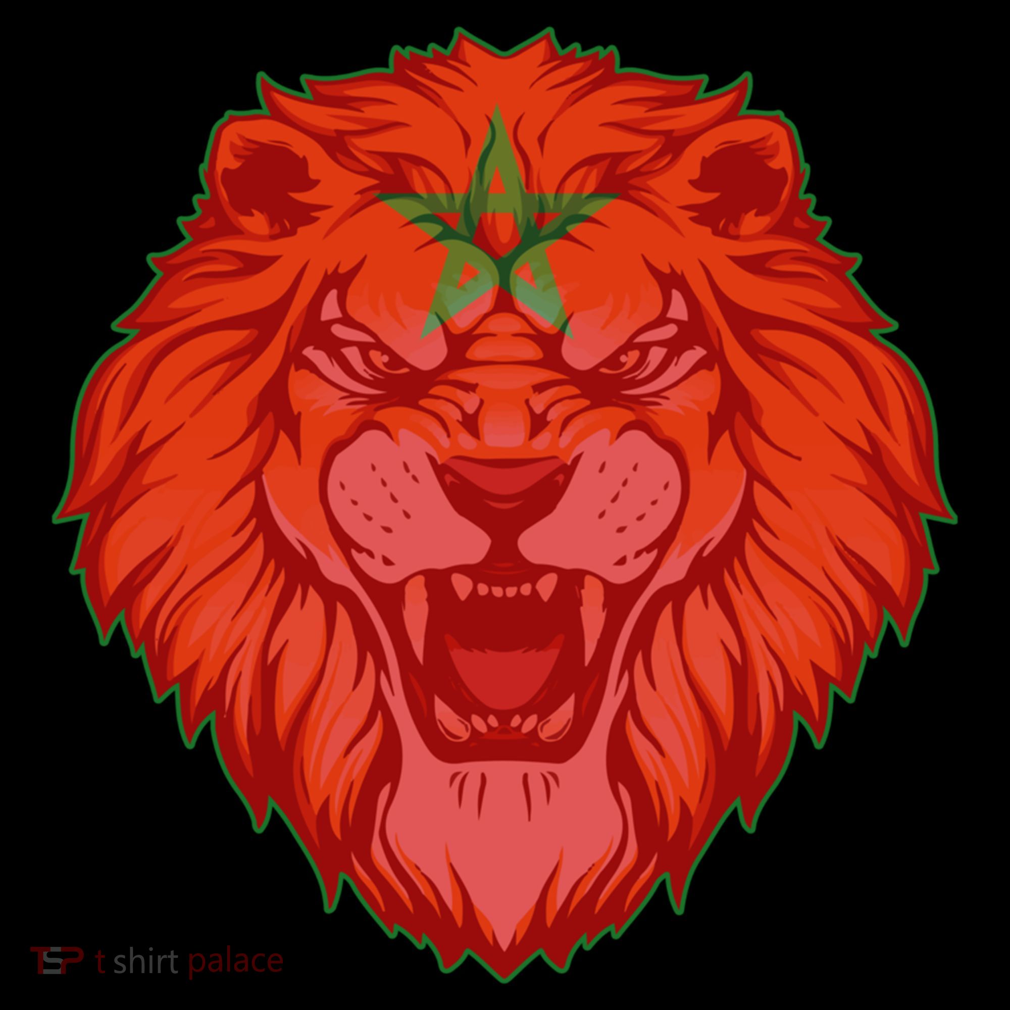 Lion Moroccan Soccer Supporter Morocco Flag Soccer Lover Gift Coffee Mug
