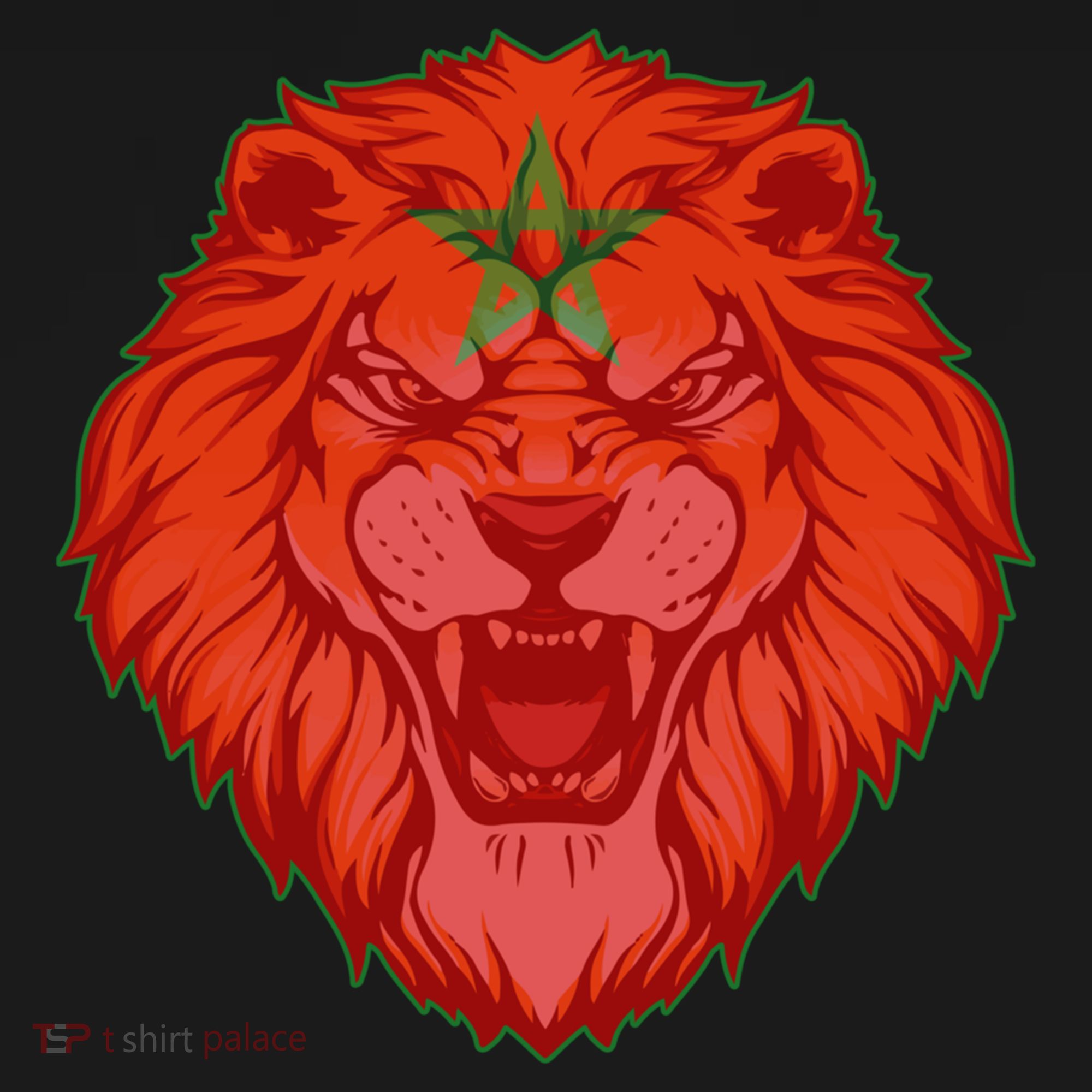Lion Moroccan Soccer Supporter Morocco Flag Soccer Lover Gift Women's Hoodie