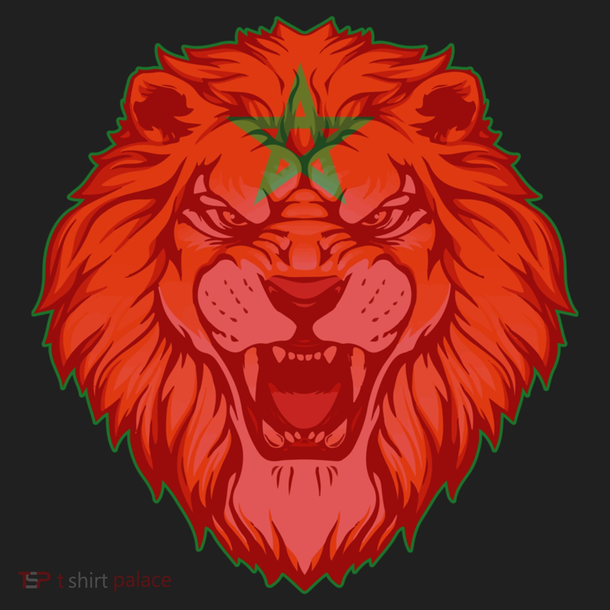 Lion Moroccan Soccer Supporter Morocco Flag Soccer Lover Gift Hat