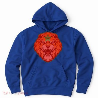 Lion Moroccan Soccer Supporter Morocco Flag Soccer Lover Gift Hoodie