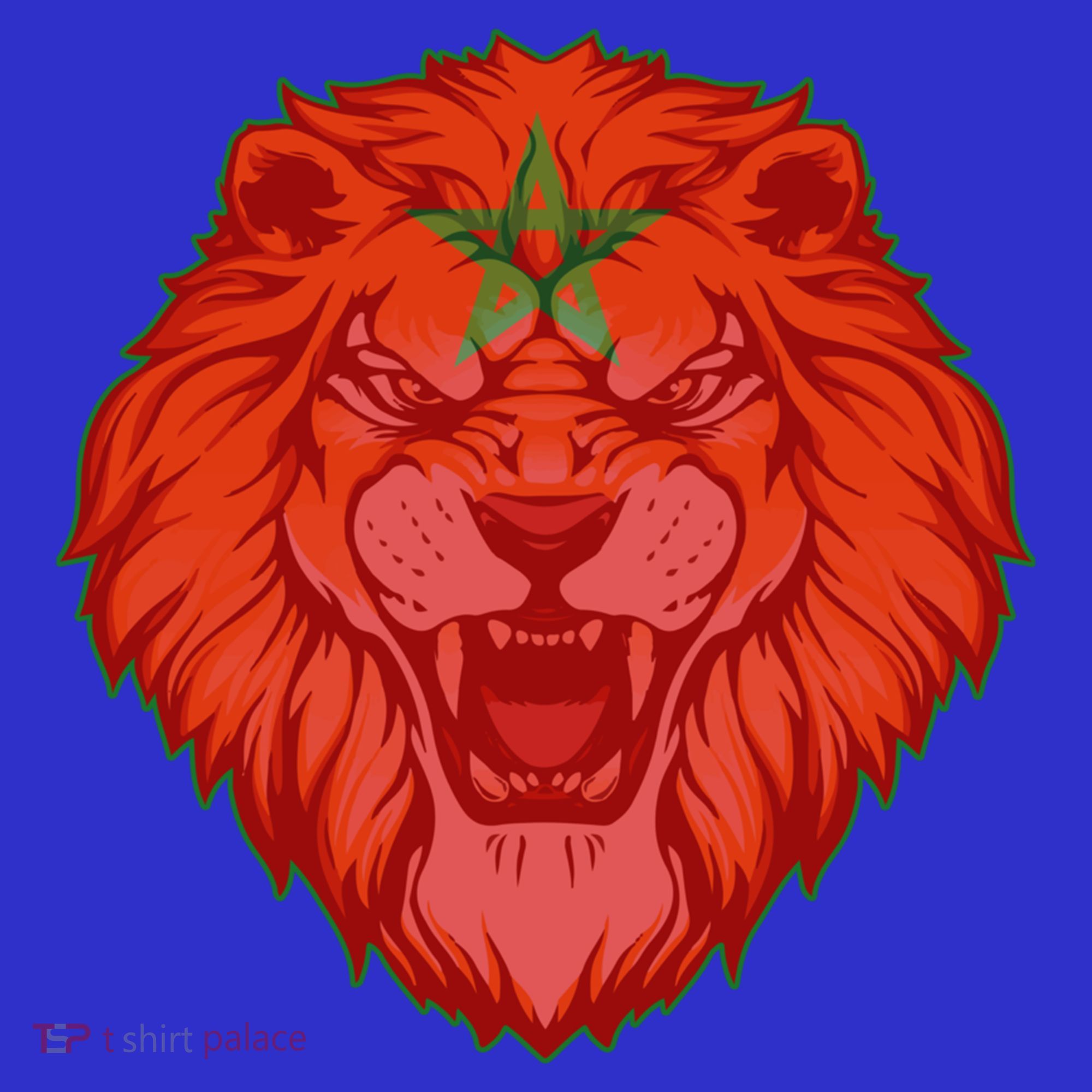 Lion Moroccan Soccer Supporter Morocco Flag Soccer Lover Gift Visor