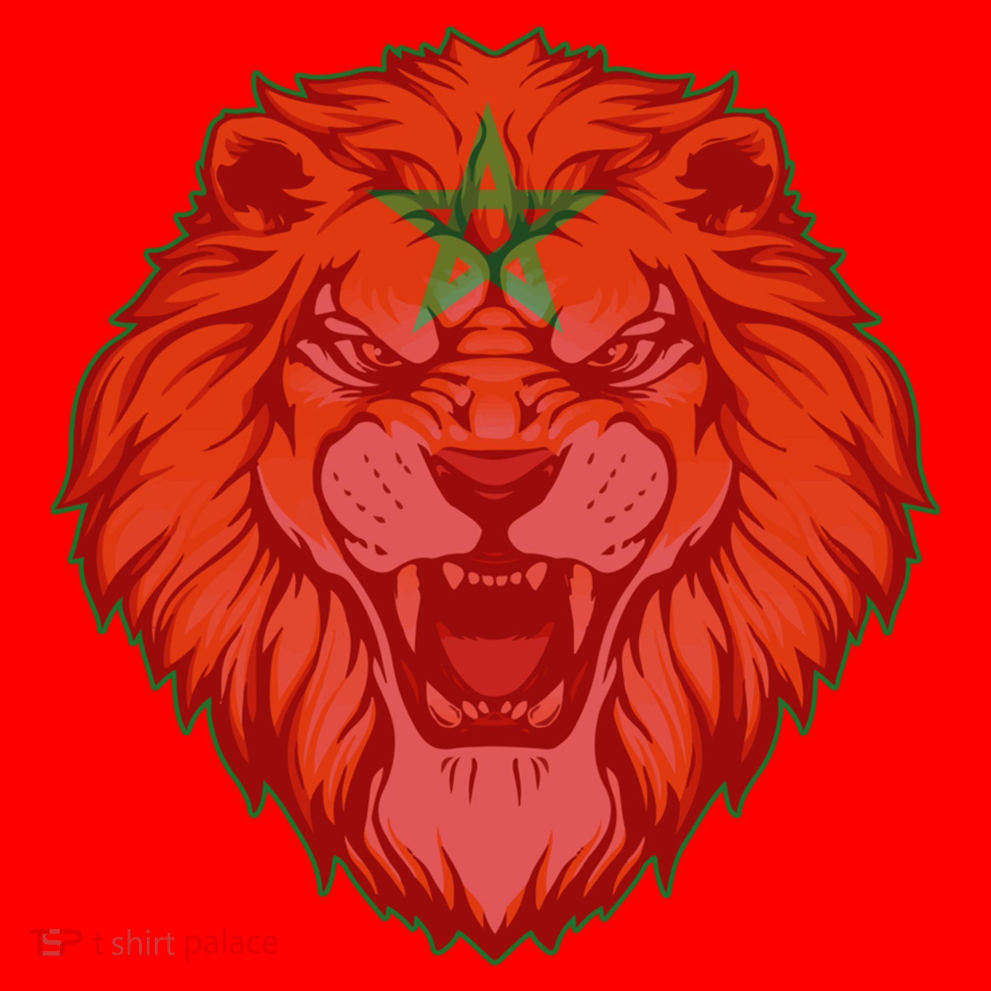 Lion Moroccan Soccer Supporter Morocco Flag Soccer Lover Gift Santa Hat
