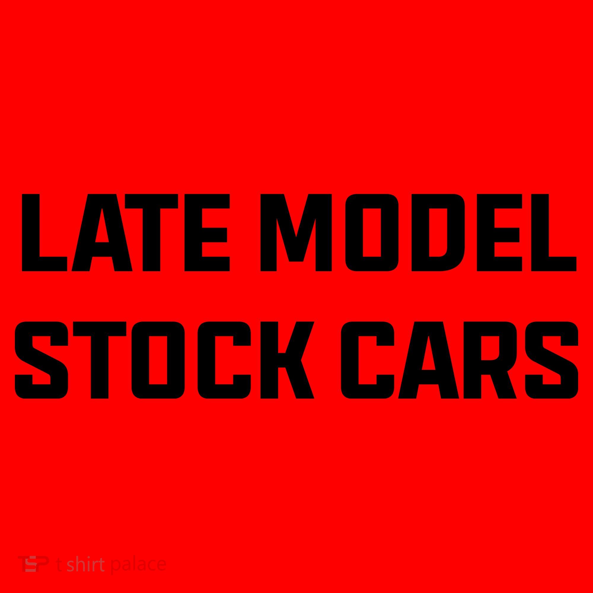 Late Model Stock Cars Santa Hat