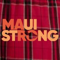 Lahaina Maui Strong Fundraiser Maui Fire Men's Flannel Plaid Pajama Pants thumb 2