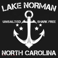 Lake Norman North Carolina Funny Fishing Camping Summer Gift Great Gift Women's Hoodie thumb 2