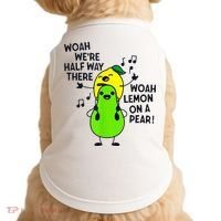 Lemon On A Pear Teacher Doggie Tank thumb 0