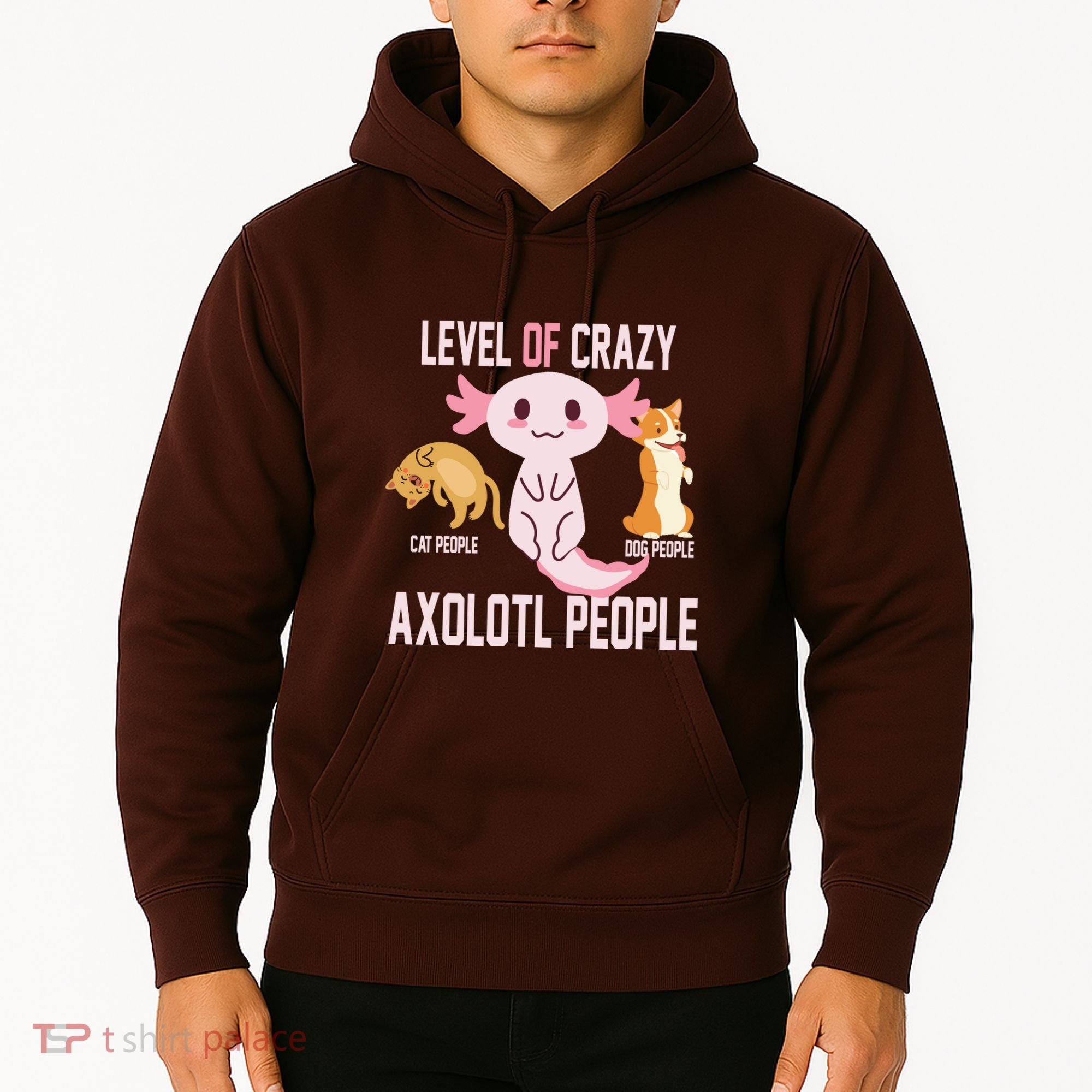 Level Of Crazy Axolotl People Hoodie