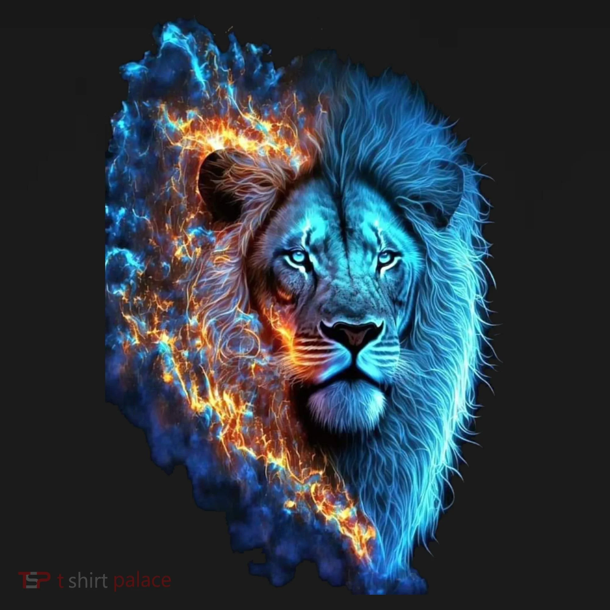 Lion On Fire Cool Graphic Button