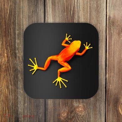 Little Orange Frog Coaster