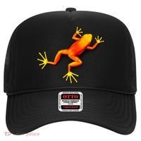 Little Orange Frog Hat thumb 0