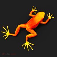 Little Orange Frog Hat thumb 2