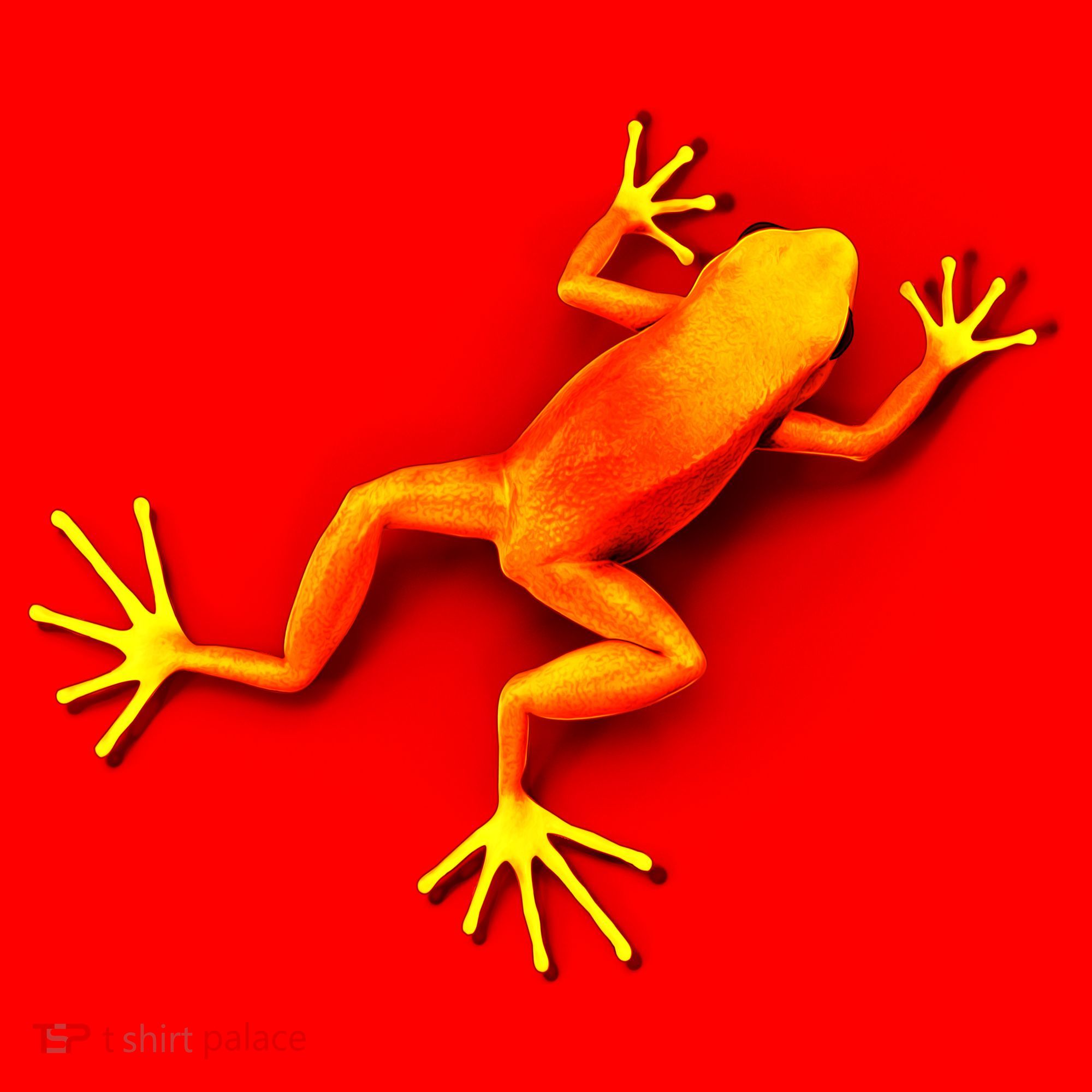 Little Orange Frog Santa Hat