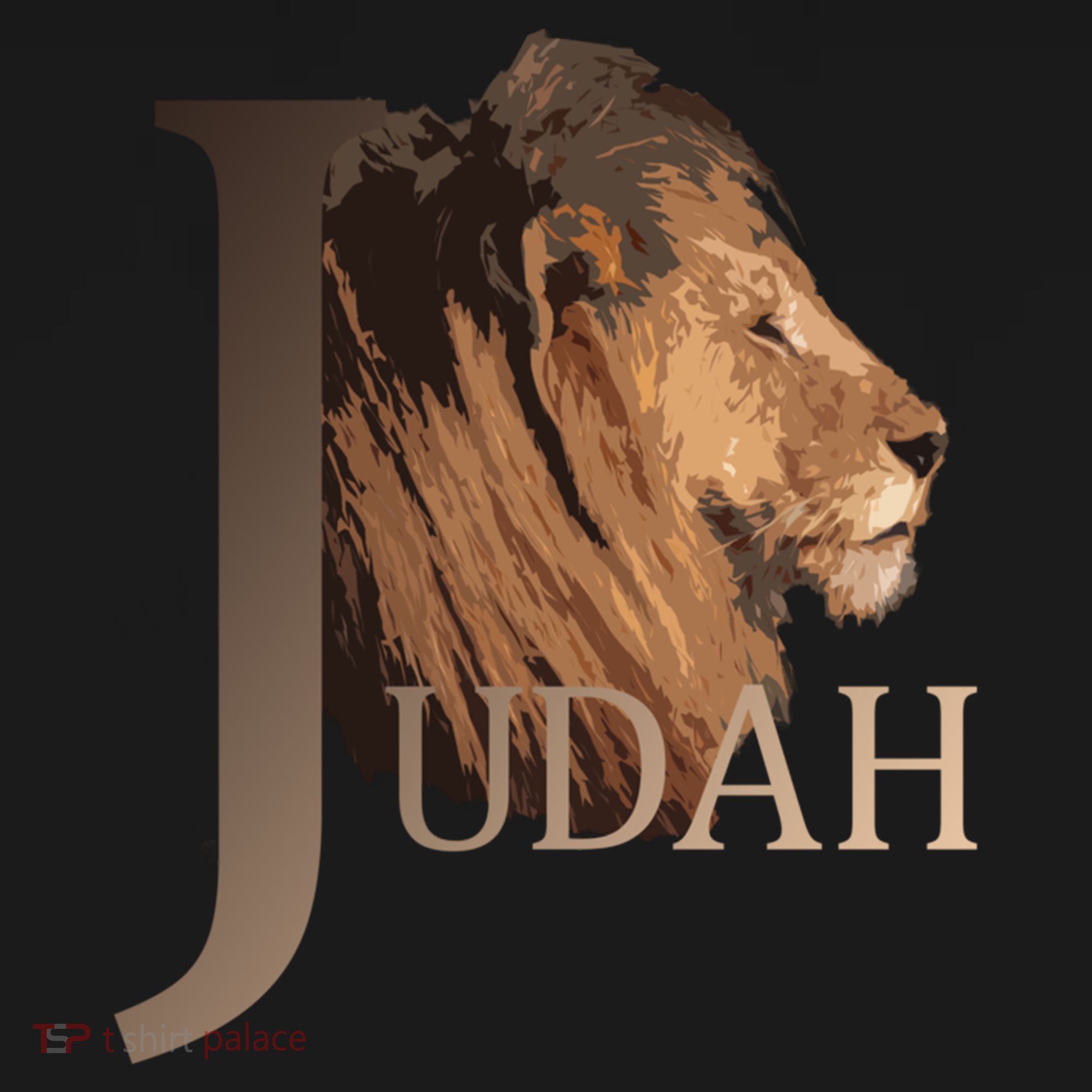 Lion Of Judah Tribe Of Judah Funny Gift Women's Hoodie