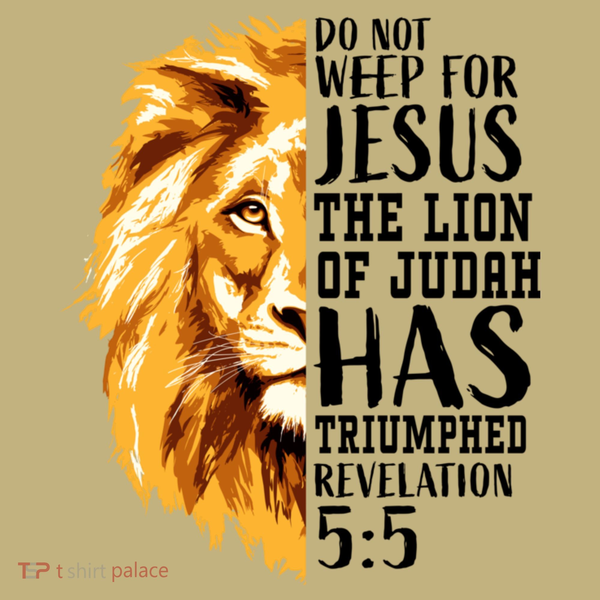 Lion Of Judah Christian Religious Verse Sayings Gift Men Him 31 T-Shirt