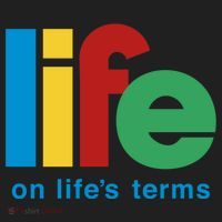 Life On Life's Terms Sobriety Recovery Funny Aa Na Gift Hat thumb 2