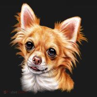 Long Haired Chihuahua Mousepad thumb 1