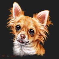 Long Haired Chihuahua Golf Towel thumb 3