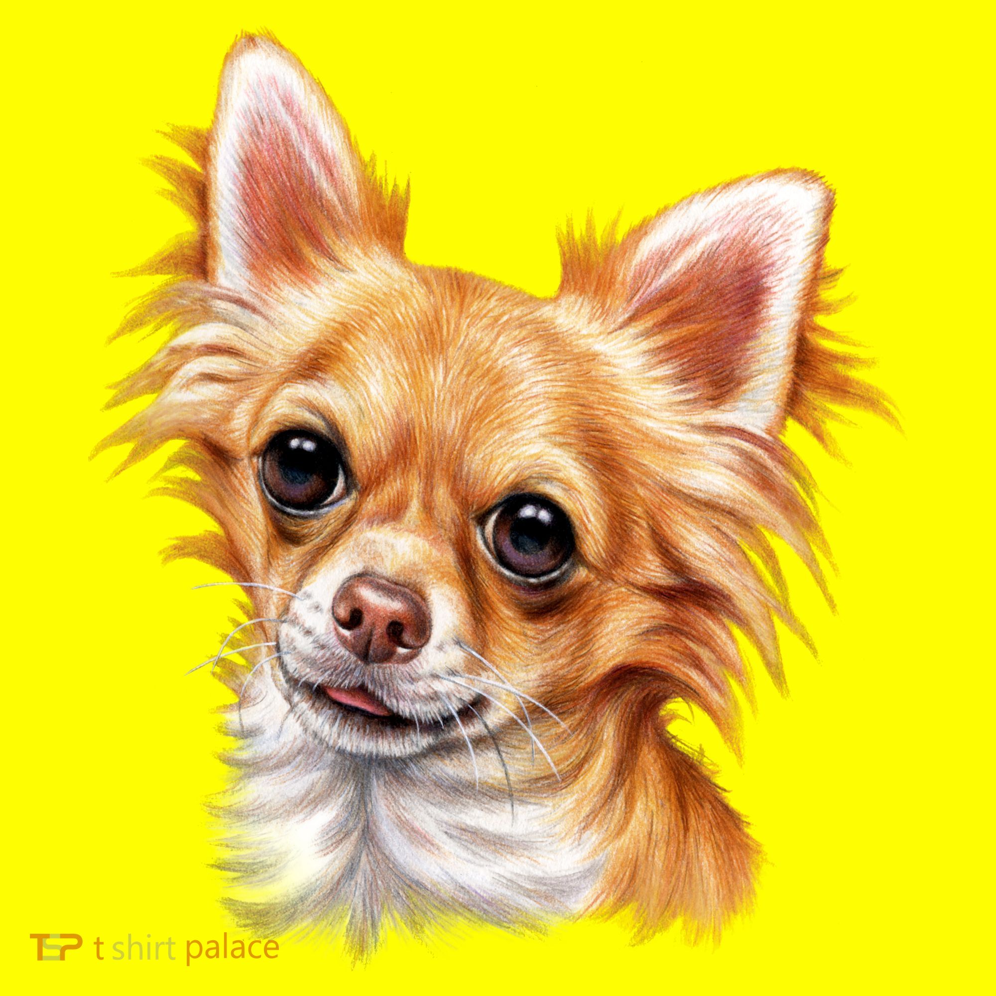 Long Haired Chihuahua Button