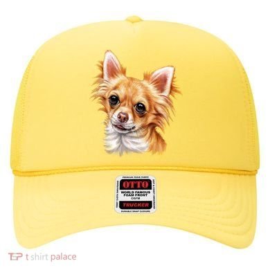 Long Haired Chihuahua Hat