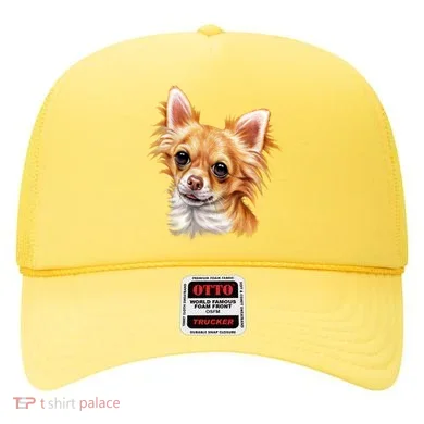 Long Haired Chihuahua Hat