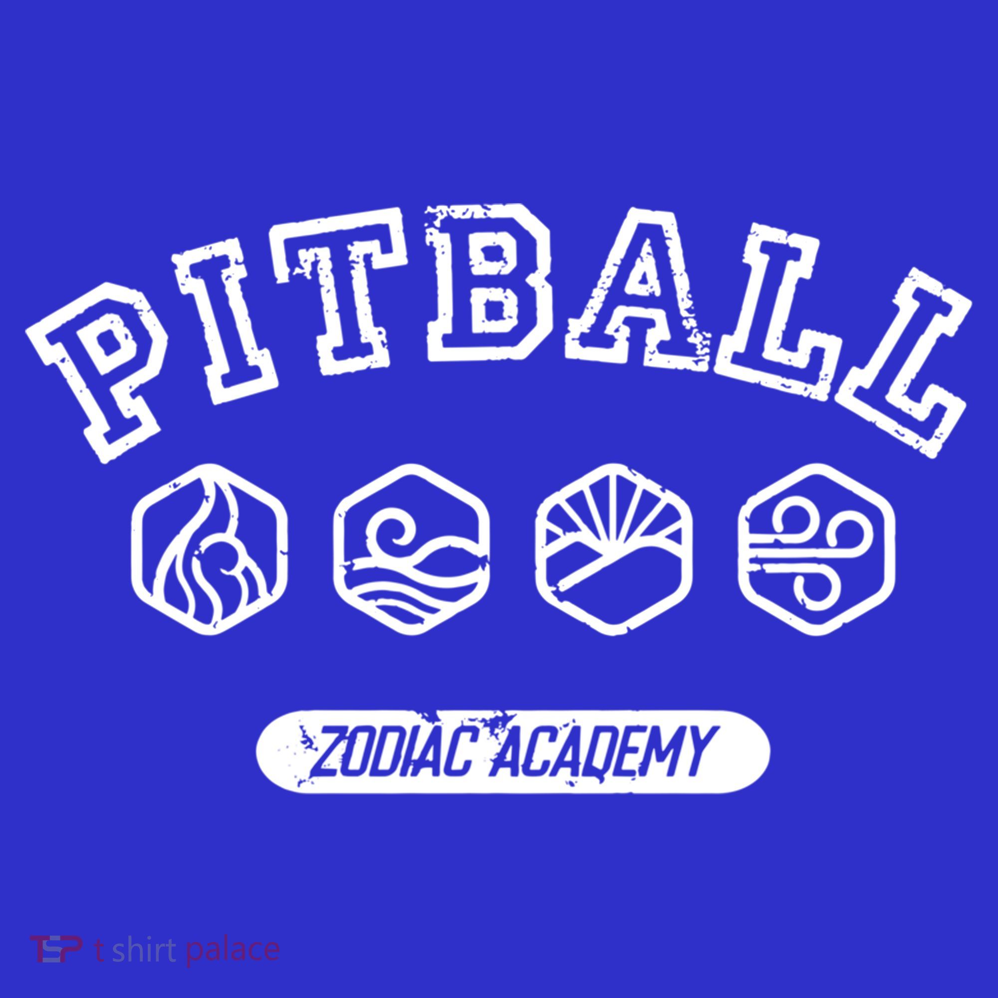 Lance Orion Pitball Two Sided Zodiac Academy Darius Acrux Gift Hoodie