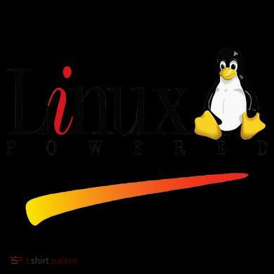 Linux Os Powered By Linux Tux Penguin Kids Colorblock Raglan Jersey